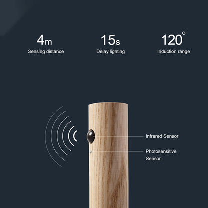 Intelligent Induction Light